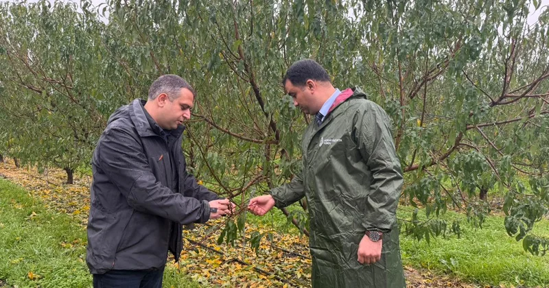 Dövlət fondu fermerlərə 2,5 milyon ödəniş edib: Hadisədən qorunmağın başqa mexanizmi yoxdur