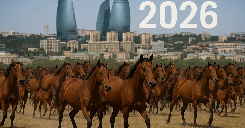 Maliyyə möcüzəsi gəlir Bu bürclər 2026 da varlı ola bilər