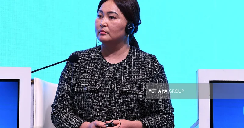 Qırğızıstan rəsmisi: Sosial şəbəkə şirkətləri TDT ölkələrində ofis açmalıdır