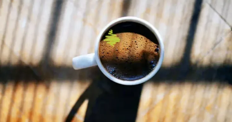 Həddindən artıq qəhvə istehlakı ürək və mədə sağlamlığına təsir edə BİLƏR