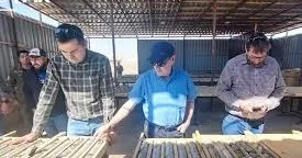 Özbəkistanda ildə 1 milyon tona qədər filiz emal etmək gücünə malik volfram kompleksi tikiləcək