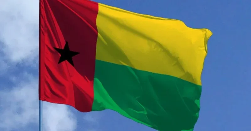 Qvineya Bisaunun keçid dövrü prezidenti and içib