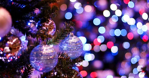 Yeni ili harda qarşılayaq? QİYMƏTLƏR