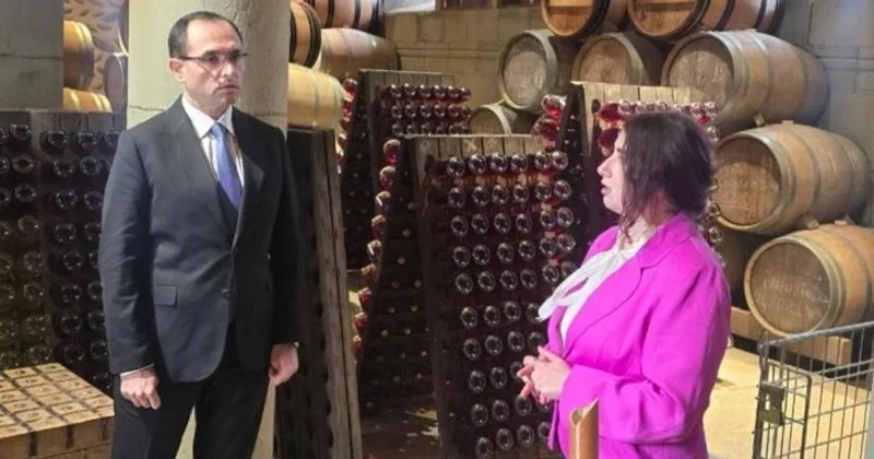 Məcnun Məmmədov Gürcüstanın aqrar müəssisələrinin fəaliyyəti ilə tanış olub