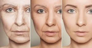 Ученые нашли способ вернуть стволовым клеткам молодость