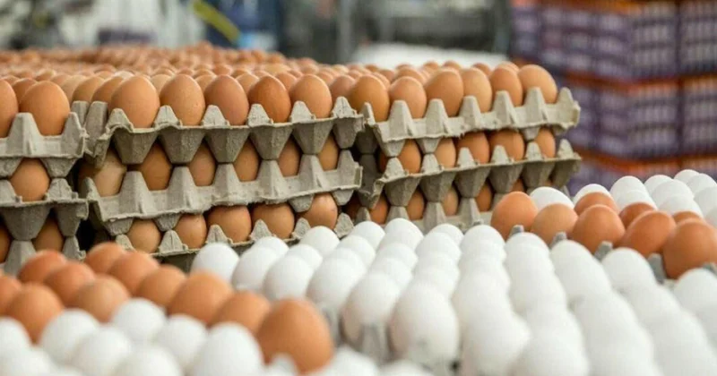 Почему в Азербайджане дорожают яйца и курятина?