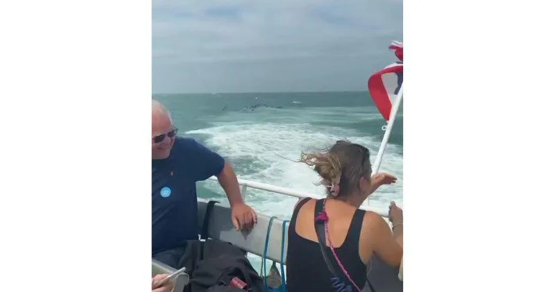 В Таиланде паром столкнулся с мощной волной ВИДЕО