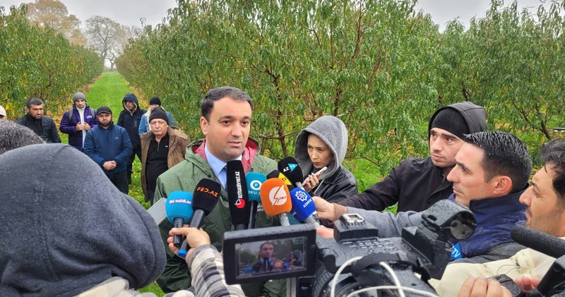 Azərbaycanda ilk dəfə böyük məbləğdə dövlət sığortası ödənilib