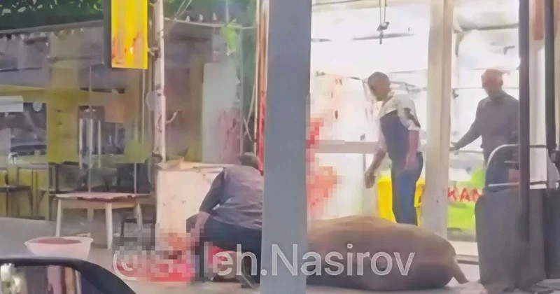 Uşaqlar niyə bu vəhşiliyin şahidi olmalıdır? VİDEO