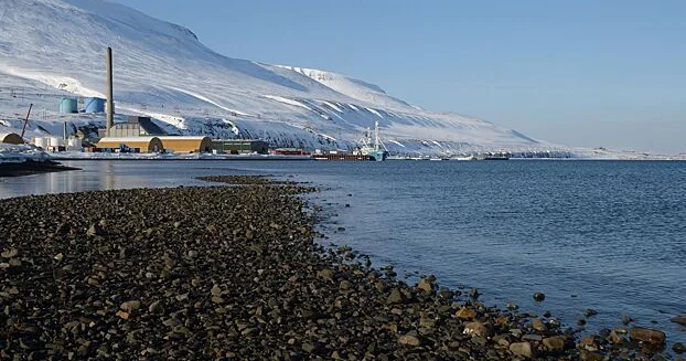 Adada 249 milyon illik dəniz ekosisteminin izləri aşkar edilib...