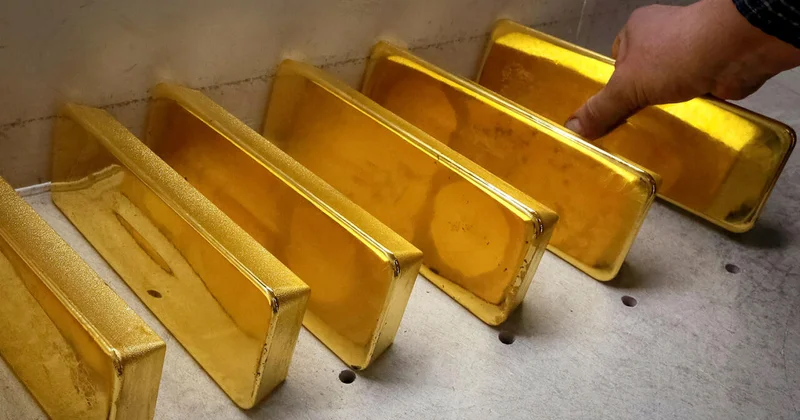 Женщина с деменцией случайно выкинула золотые слитки сына