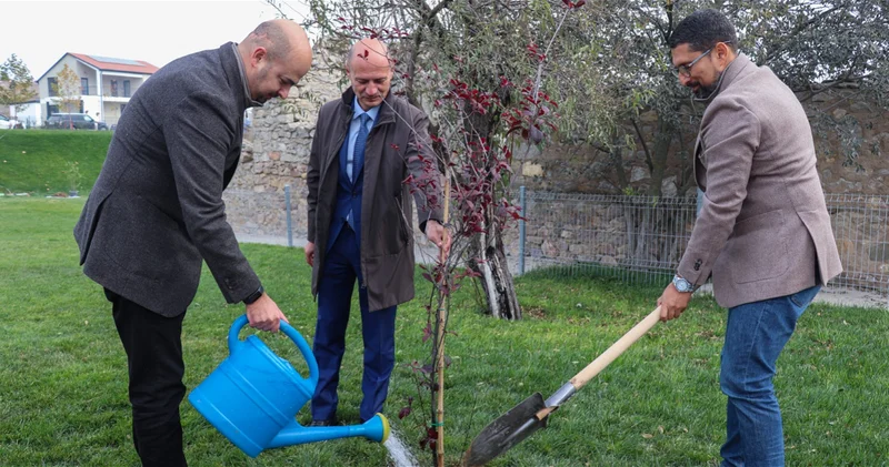 В Хоровлу состоялась акция по посадке деревьев при поддержке Фонда Возрождения Карабаха ФОТО