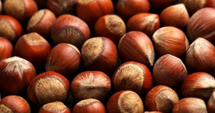 Azərbaycan ərəb ölkəsinə fındıq satmağa başlayıb