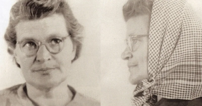 О доносной литературе то есть, о вечном