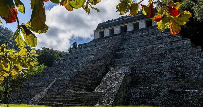 Исследователь рассказал о причинах упадка цивилизации майя