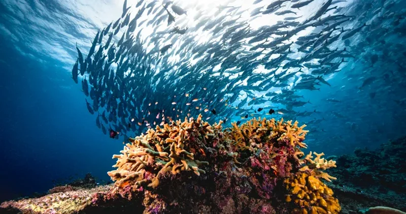 Dünya okeanları və dənizlər kimə məxsusdur? Cavab heç də sadə deyil