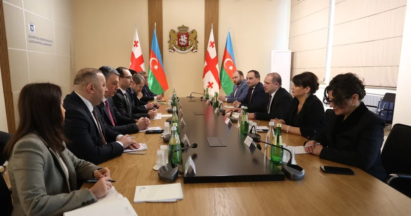 Обсуждено сотрудничество в аграрной сфере между Азербайджаном и Грузией (ФОТО)