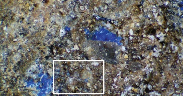 Avropa tarixində yeni rəng tapılıb FOTO