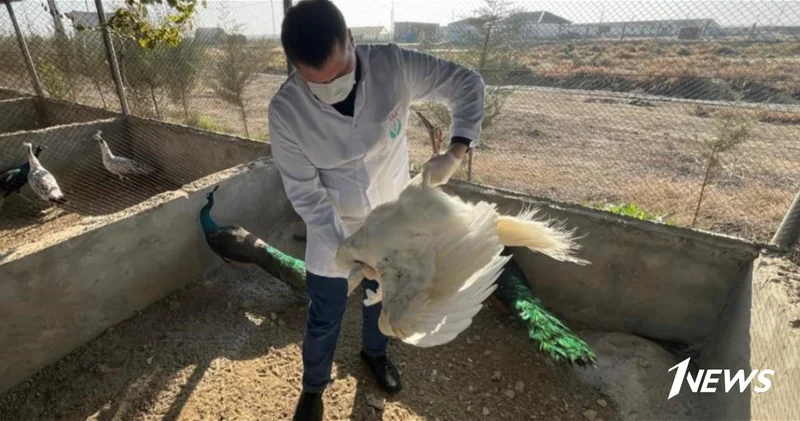 В этом ресторане выявлены животные, содержавшиеся без ветеринарного контроля ФОТО