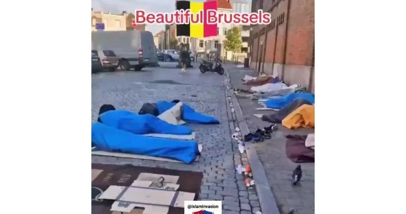 Резкое похолодание в Брюсселе ставит под угрозу тысячи бездомных ВИДЕО