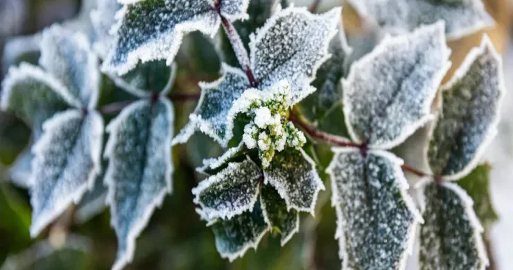 Hava soyuyur, 2 dərəcə şaxta olacaq Sabahın PROQNOZU