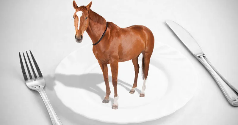 At əti yemək haramdır? Açıqlama