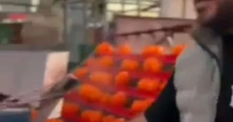 “Məlumatımız var” Rənglənən portağallarla bağlı rəsmi açıqlama