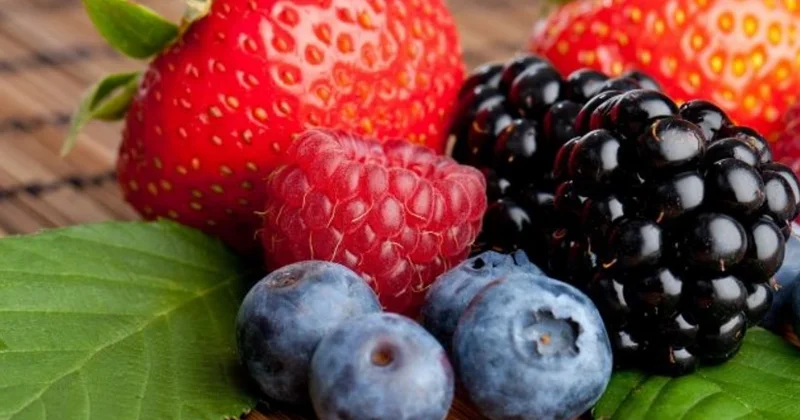 Naxçıvanda meyvə və giləmeyvə istehsalı 7 % ə yaxın artıb