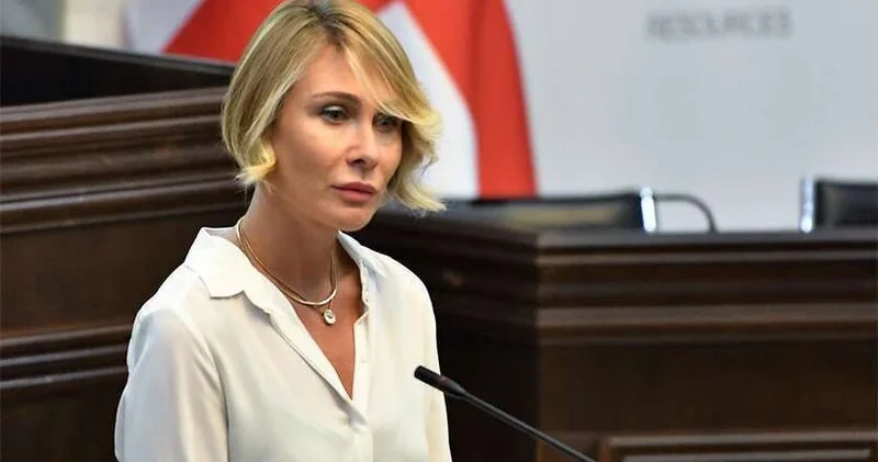 Gürcüstanı təhdid etdilər: Dosye bağlanır