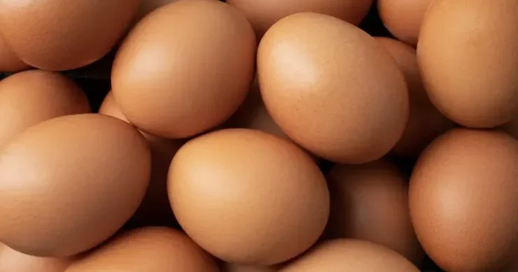 Yumurtanın xarab olduğunu bilmək üçün 3 sadə test