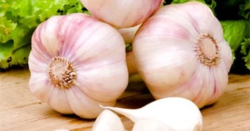 Sarımsağın soyuqdəyməyə təsiri izah edildi...