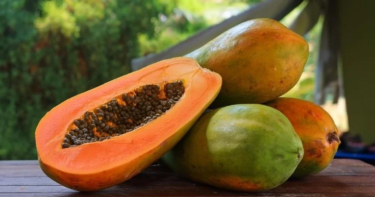 Gözlərini sağlam saxlayacaq qidalar