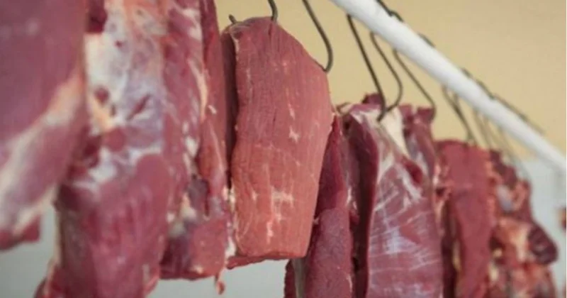 At əti ilə mal ətini necə ayırd etməli? Mütəxəssis