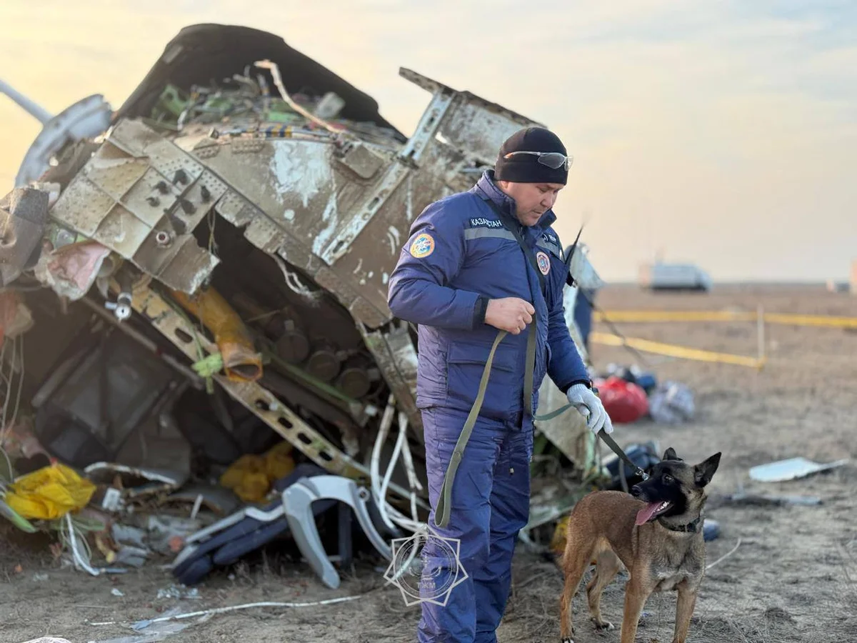 The Times о крушении самолёта AZAL: пилоты пытались повторить манёвр рейса 232 United Airlines