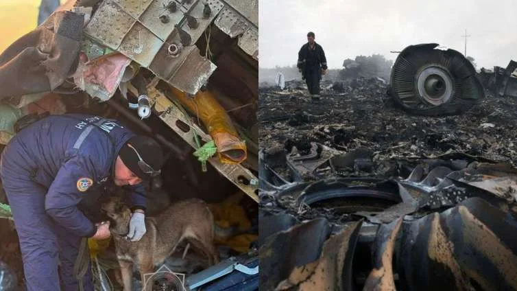 Aktaudakı qəza MH17 faciəsini xatırladır The Telegraph