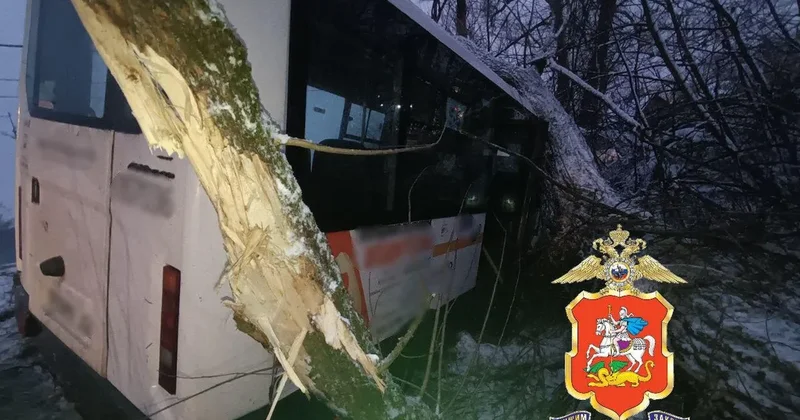 NTV: в японской префектуре Гумма ночью столкнулись 56 автомобилей