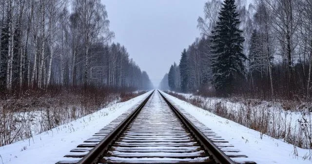 Latviya ilə Rusiya arasındakı dəmir yolu xətləri sökülərsə...