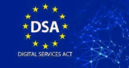 Rəqəmsal məkanda qaydaları kim tənzimləyir?