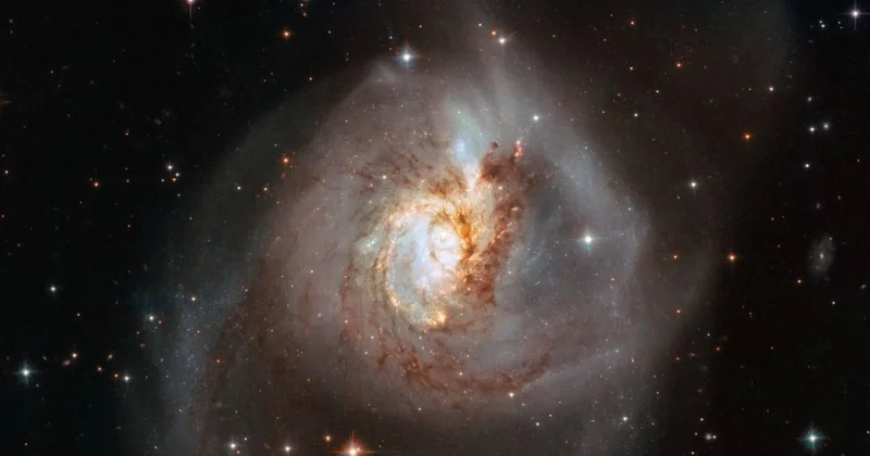 Уникальное скопление звезд обнаружено в космосе ФОТО