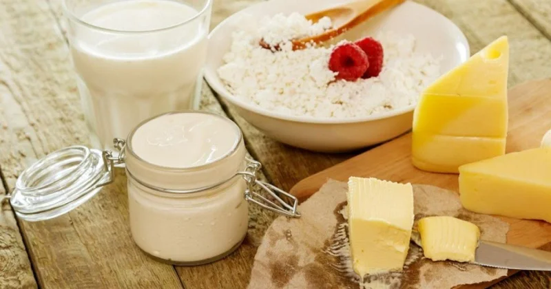 Qışda probiotiklər və prebiotiklər vacibdirmi? Həkim AÇIQLADI