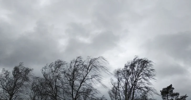 В Азербайджане в ближайшие два дня ожидается сильный ветер ПРЕДУПРЕЖДЕНИЕ