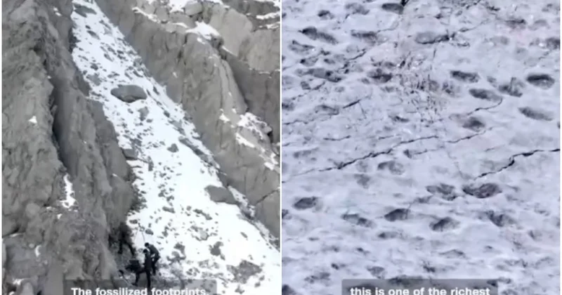 200 milyon illik minlərlə dinozavr izi aşkarlandı