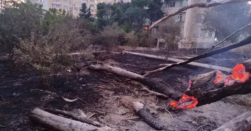 Во дворе бакинских девятиэтажек сожгли деревья А теперь возводят новостройки? / ФОТО / ВИДЕОФАКТ