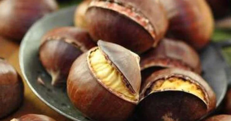 Şabalıd sevənlərin bilməli olduğu asan üsul