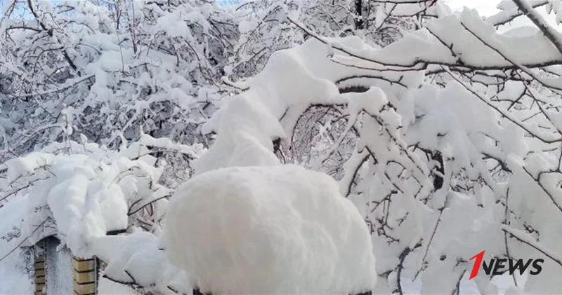 Какой будет погода в воскресенье ПРОГНОЗ