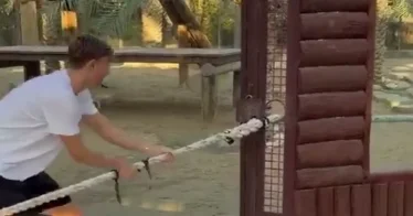 Футболист Реала померился силами с тигром в зоопарке ВИДЕО