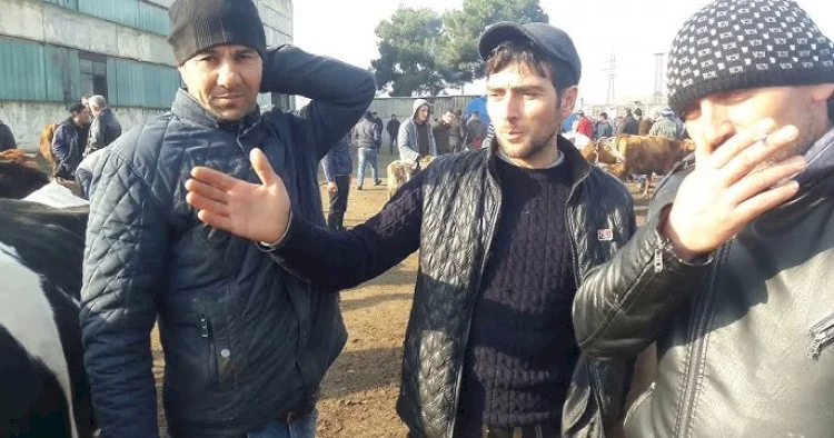 2 rayonda mal bazarları yenidən açıldı KONKRET