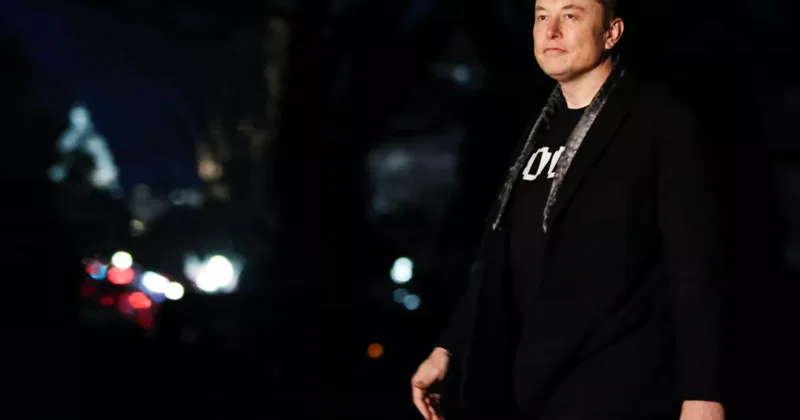 Маск предупреждает: США могут стать однопартийной страной