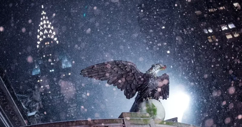 В США отменили и задержали более 10 тыс рейсов