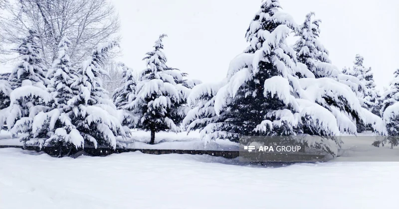 FHN hava şəraiti ilə əlaqədar əhaliyə müraciət edib